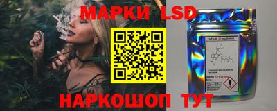 гидропоника Кунгур